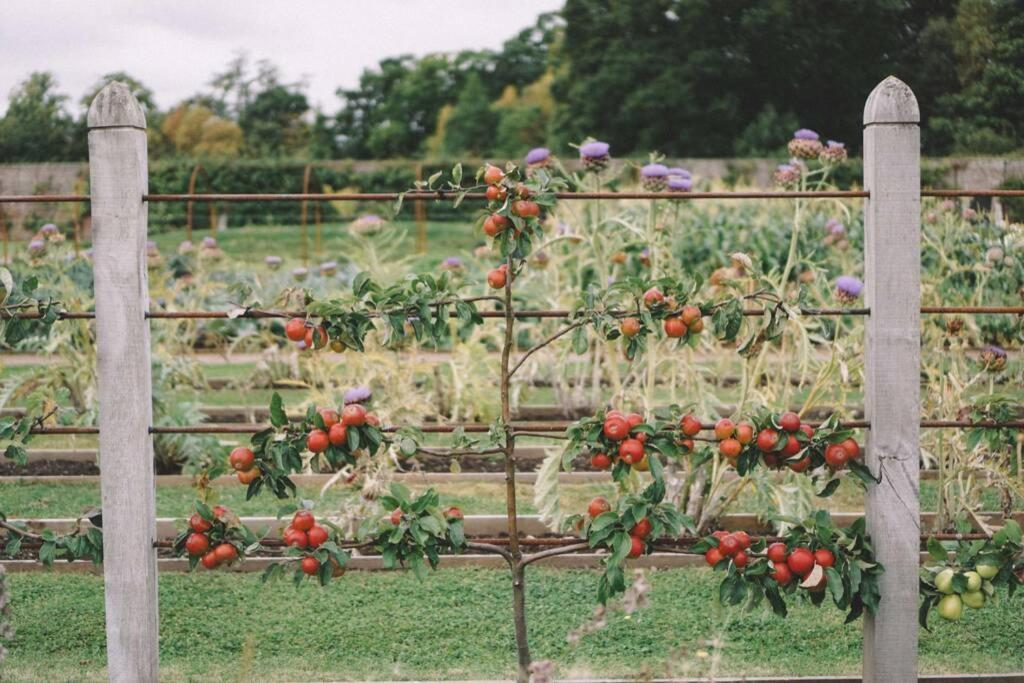 Garden Cottage, Fochabers Esterno foto